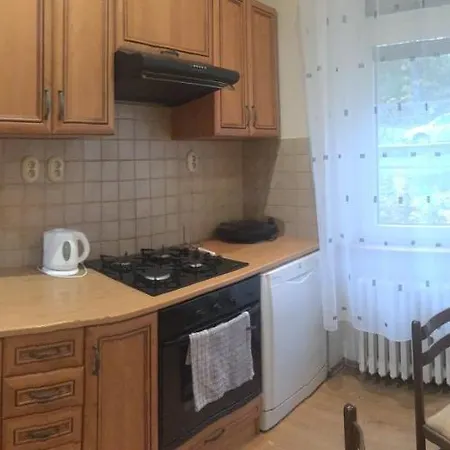 Appartement Vitezna 20 Karlovy Vary